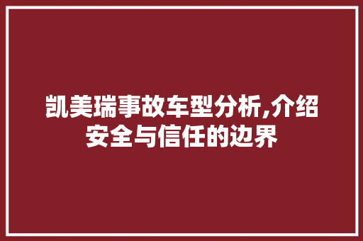 凯美瑞事故车型分析,介绍安全与信任的边界