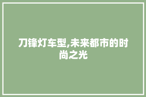 刀锋灯车型,未来都市的时尚之光 新能源汽车