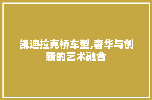 凯迪拉克桥车型,奢华与创新的艺术融合