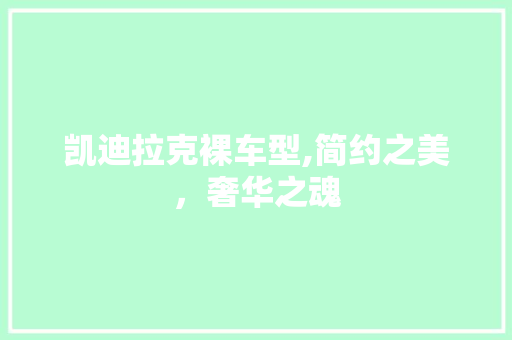 凯迪拉克裸车型,简约之美，奢华之魂