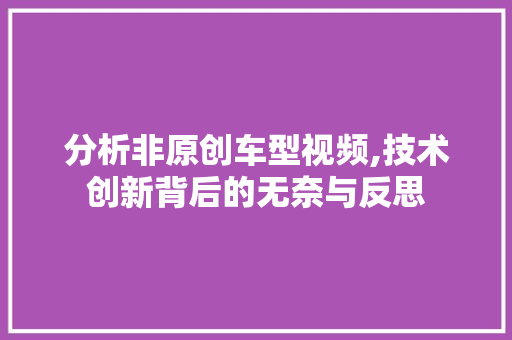 分析非原创车型视频,技术创新背后的无奈与反思
