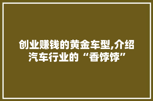 创业赚钱的黄金车型,介绍汽车行业的“香饽饽”