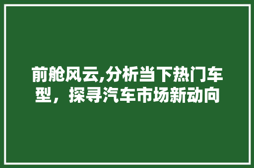前舱风云,分析当下热门车型，探寻汽车市场新动向