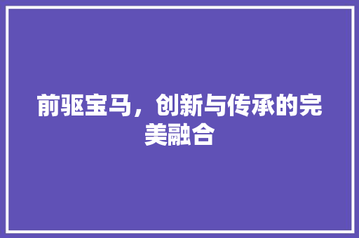 前驱宝马，创新与传承的完美融合