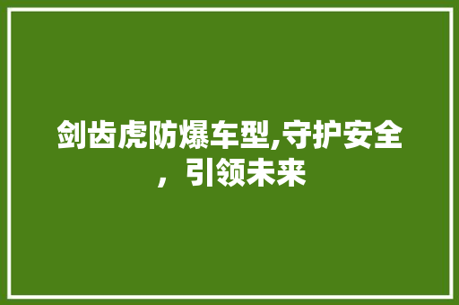 剑齿虎防爆车型,守护安全，引领未来