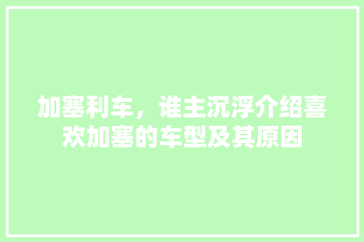 加塞利车，谁主沉浮介绍喜欢加塞的车型及其原因