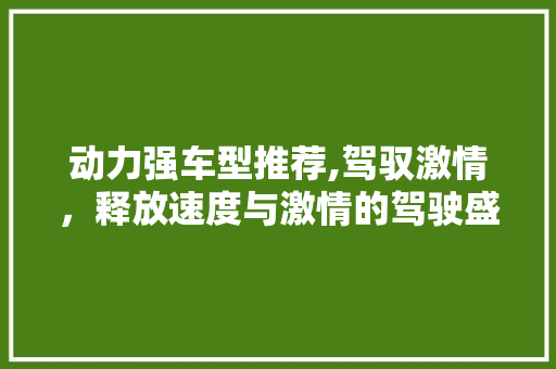 动力强车型推荐,驾驭激情，释放速度与激情的驾驶盛宴