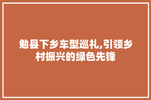 勉县下乡车型巡礼,引领乡村振兴的绿色先锋