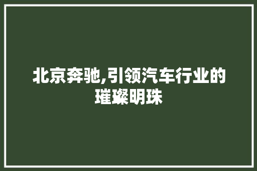 北京奔驰,引领汽车行业的璀璨明珠