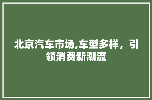 北京汽车市场,车型多样，引领消费新潮流 新能源汽车