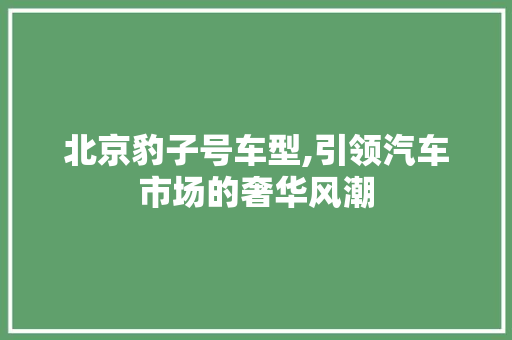 北京豹子号车型,引领汽车市场的奢华风潮