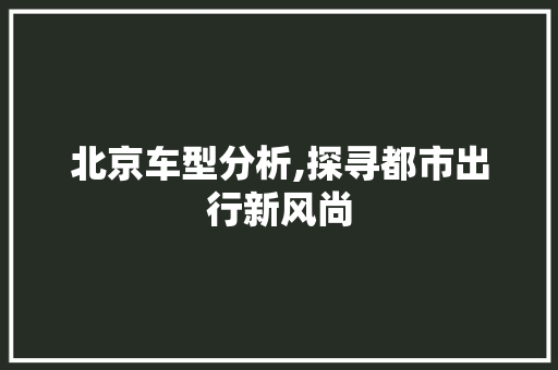 北京车型分析,探寻都市出行新风尚