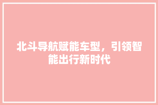 北斗导航赋能车型，引领智能出行新时代