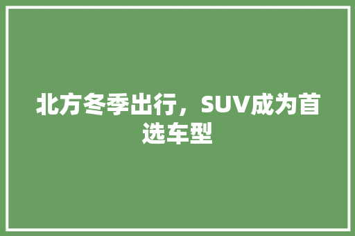 北方冬季出行，SUV成为首选车型
