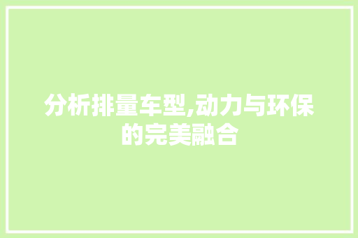 分析排量车型,动力与环保的完美融合