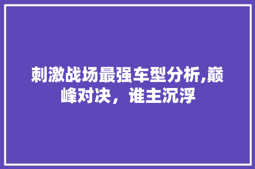 刺激战场最强车型分析,巅峰对决，谁主沉浮