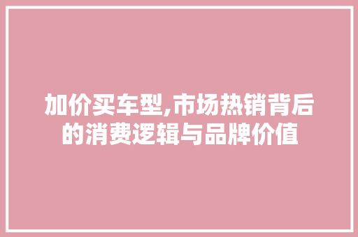加价买车型,市场热销背后的消费逻辑与品牌价值 蓄电池配件
