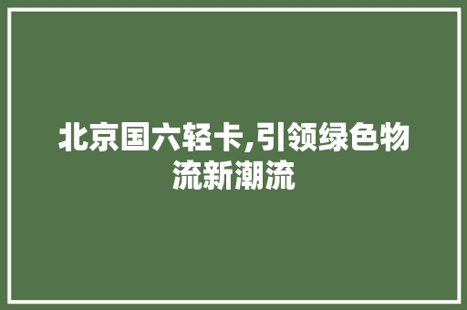 北京国六轻卡,引领绿色物流新潮流