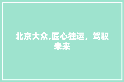 北京大众,匠心独运，驾驭未来