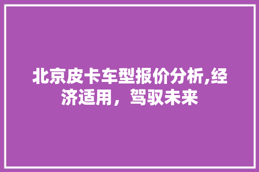 北京皮卡车型报价分析,经济适用，驾驭未来