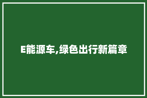 E能源车,绿色出行新篇章