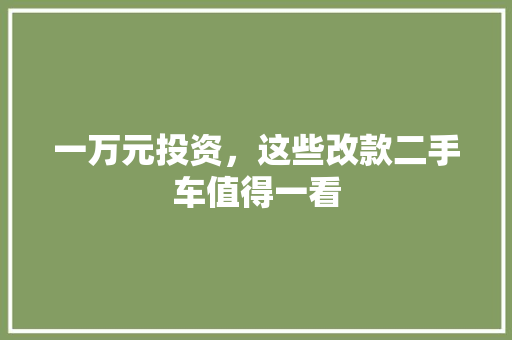 一万元投资，这些改款二手车值得一看