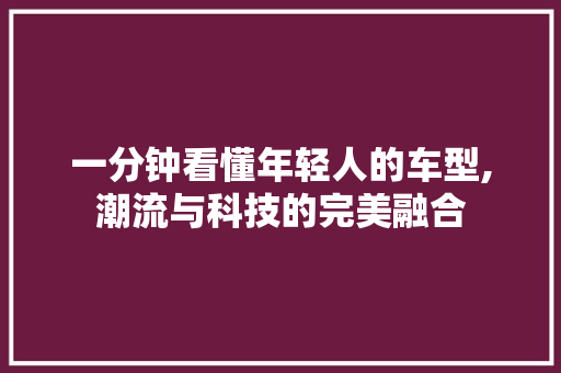 一分钟看懂年轻人的车型,潮流与科技的完美融合