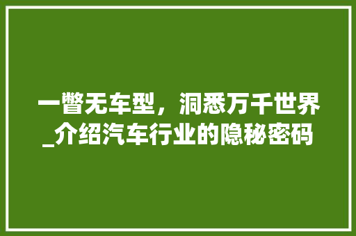 一瞥无车型，洞悉万千世界_介绍汽车行业的隐秘密码