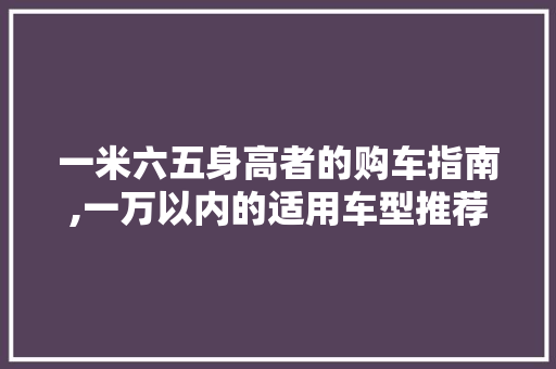 一米六五身高者的购车指南,一万以内的适用车型推荐