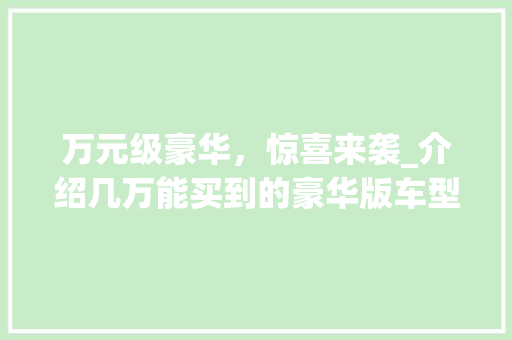万元级豪华，惊喜来袭_介绍几万能买到的豪华版车型
