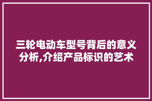 三轮电动车型号背后的意义分析,介绍产品标识的艺术