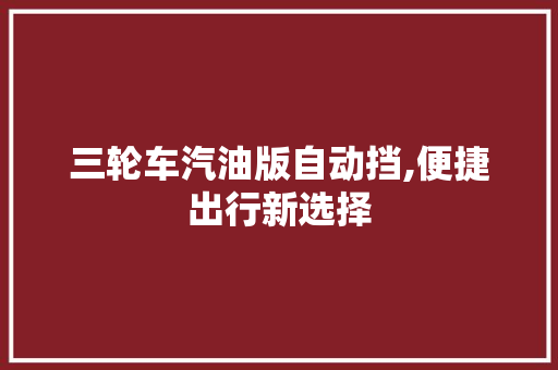 三轮车汽油版自动挡,便捷出行新选择