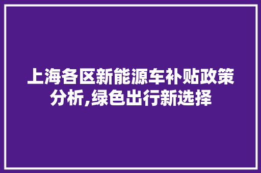 上海各区新能源车补贴政策分析,绿色出行新选择