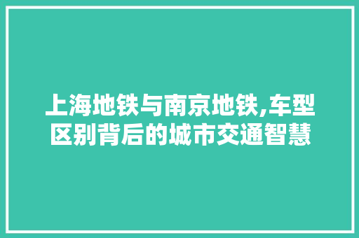 上海地铁与南京地铁,车型区别背后的城市交通智慧