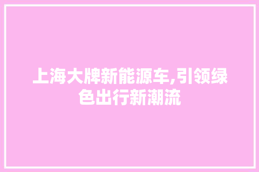 上海大牌新能源车,引领绿色出行新潮流