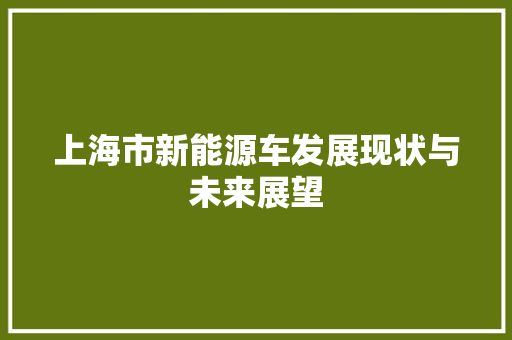 上海市新能源车发展现状与未来展望