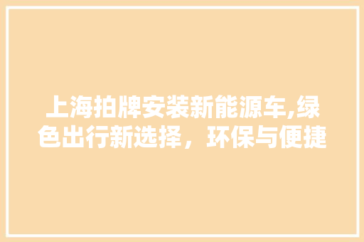 上海拍牌安装新能源车,绿色出行新选择，环保与便捷同行
