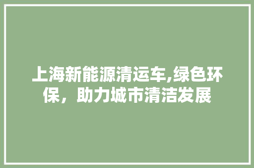 上海新能源清运车,绿色环保，助力城市清洁发展 蓄电池配件