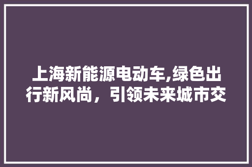 上海新能源电动车,绿色出行新风尚，引领未来城市交通
