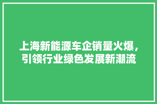 上海新能源车企销量火爆，引领行业绿色发展新潮流