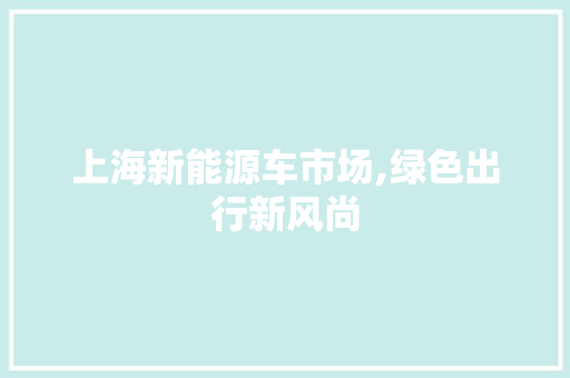 上海新能源车市场,绿色出行新风尚