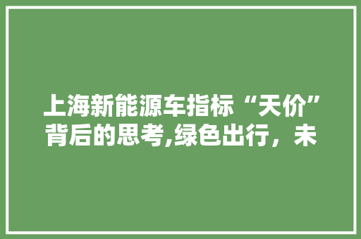 上海新能源车指标“天价”背后的思考,绿色出行，未来已来