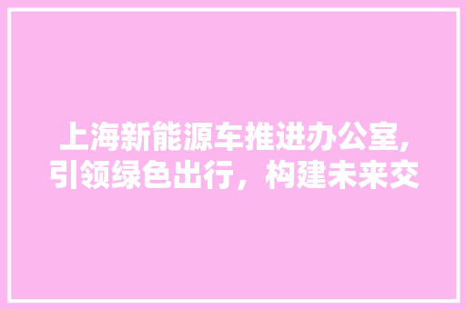上海新能源车推进办公室,引领绿色出行，构建未来交通新格局