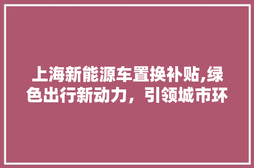上海新能源车置换补贴,绿色出行新动力，引领城市环保新风尚