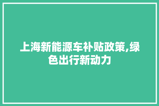 上海新能源车补贴政策,绿色出行新动力