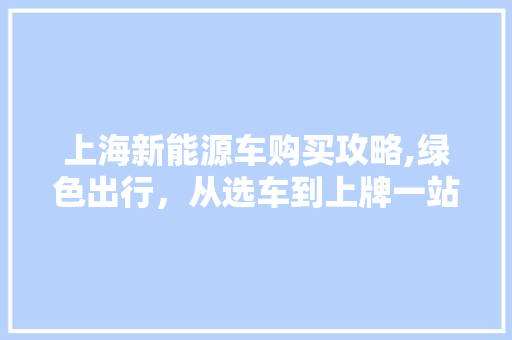 上海新能源车购买攻略,绿色出行，从选车到上牌一站式服务