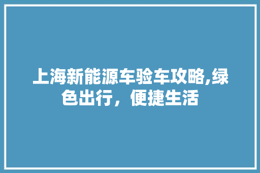 上海新能源车验车攻略,绿色出行，便捷生活