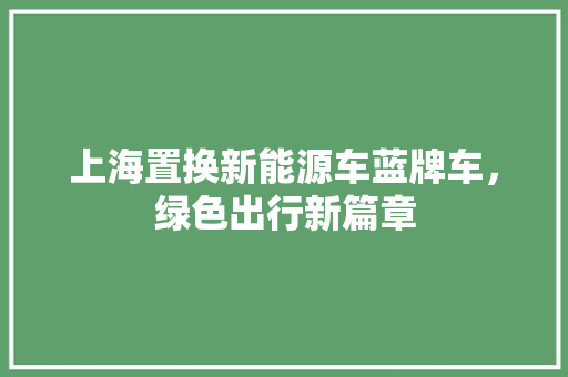 上海置换新能源车蓝牌车，绿色出行新篇章
