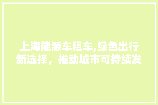 上海能源车租车,绿色出行新选择，推动城市可持续发展