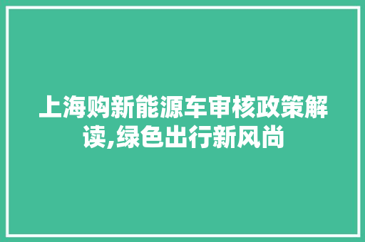 上海购新能源车审核政策解读,绿色出行新风尚
